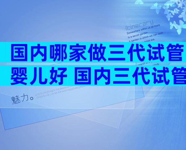 国内哪家做三代试管婴儿好 国内三代试管医院哪家好